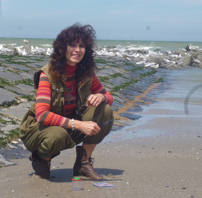 Activiteit aan zee: Strandwandeling met Katia (Bredene)