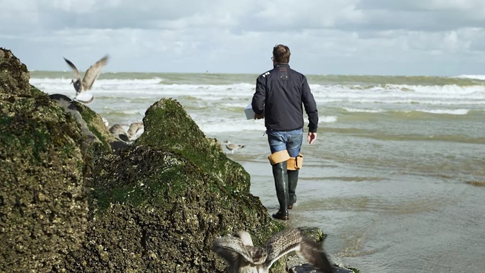 Activiteit aan zee: Studio Zeewier - Zeewier Wandeling (Bredene)