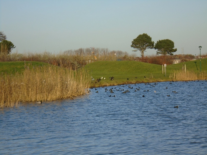 Activiteit aan zee: Recreatiedomein Grasduinen (Bredene)