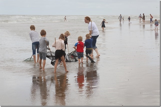 Activité en bord de mer Filets de pêche (Bredene)