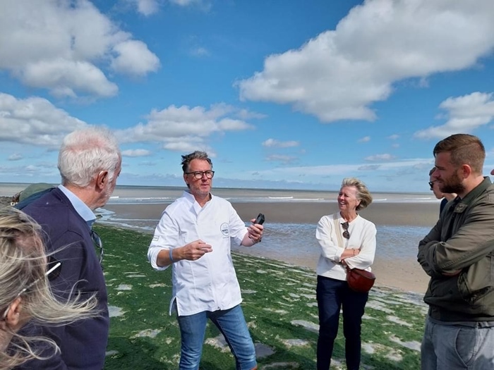 Activiteit aan zee: Studio Zeewier - Wandeling, Proeverij en zakje zeewiergenot (Bredene)