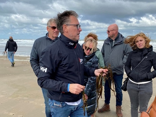 Activiteit aan zee: Studio Zeewier - Zeewier Wandeling (Bredene)